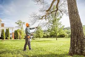 How Our Tree Care Process Works  in  Gap, PA